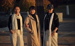 晴雅集为什么被禁